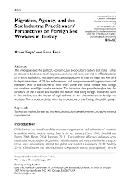 PDF) Migration, Agency, and the Sex Industry: Practitioners Perspectives  on Foreign Sex Workers in Turkey