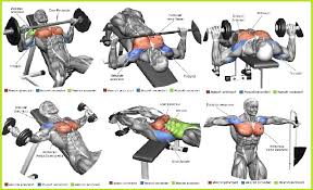 Exercises Exercises Chest