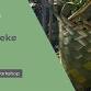 Harakeke plant guard workshop- Wānaka Library- 30 Oct event image