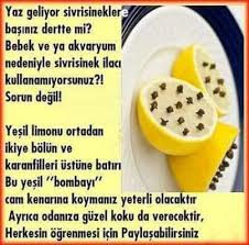 Sivrisinekler Icin Saglik Saglik Bakim Evde Hazirlabilen Ilaclar