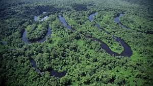 Shop from amazon global store to simplify the product import process from import duties to taxes and fees. Brasiliens Naturschatze Zwischen Amazonas Und Atlantikkuste Welt Der Wunder Tv