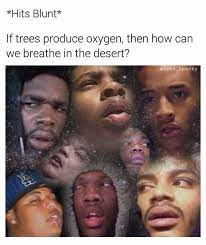 Dopl3r Com Memes Hits Blunt If Trees Produce Oxygen Then How Can We Breathe In The Desert Sean Speezy