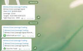 Like other forum this one is focus general massage. Bitmex Leverage Trading 192 Roe In Minutes The Bitcoin Forum