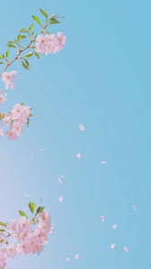 Iphone Wallpaper Tumblr Flower Phone Wallpaper Flower Wallpaper Art Wallpaper