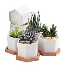 Check spelling or type a new query. Best Succulent Pots Planters Reviews Complete Buyer S Guide