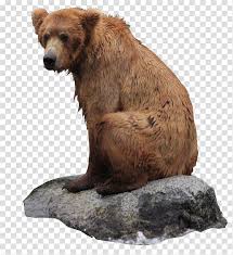 Grizzly Bear Icon Bear Transparent Background Png Clipart Hiclipart Discover 4549 free bear png images with transparent backgrounds. grizzly bear icon bear transparent