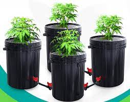 Diy 5 Gallon Hydroponic Bucket Video Included Hydro Blossom