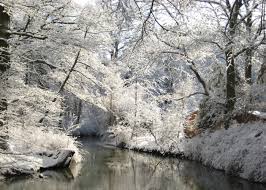 März 2020 (buchbar ab 2 übernachtungen). Spreewald Boots Und Zweiradverleih Gebauer