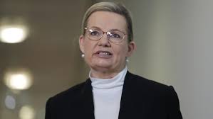 Do liberal crusaders advocate for the safety of children in childcare  centers from pedophiles?