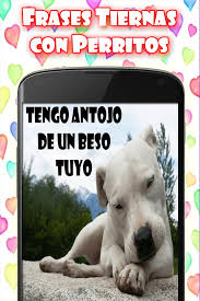 Imagenes con frases de perros. Frases Tiernas Con Perritos For Android Apk Download