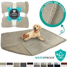 Waterproof Dog Bed Cover For Large Dogs Puppies Best Offer Petsep Com Waterproof Dog Bed Covered Dog Bed Dog Blanket