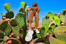 These cacti puns are adorable ways to ask someone out, or tell someone who loves plants and cacti in particular that you like them. Poz Vegan Cactus Leather Sugarcane Sneakers Indiegogo
