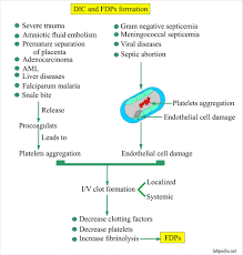 The procedure of fdp testing is very simple. Fibrinogen Degradation Products Fdp Or Fibrin Split Products Fsp And D Dimer Labpedia Net