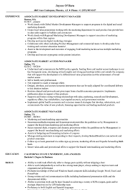 associate market manager resume samples