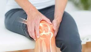 It is formed by articulations between the patella, femur and tibia. Ligament Injuries To The Knee Johns Hopkins Medicine
