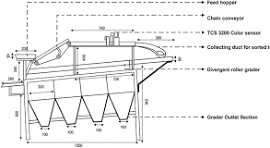 Schematic diagram of a color sorter cum grader | Download ...