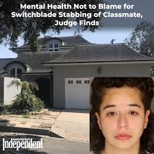 Judge Von Deroian has denied a “mental health diversion” petition from the  legal team of Cora Vides, the former Laguna Blanca student who confessed to  police a “bad thing” that invaded her