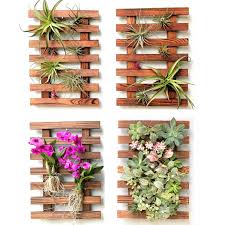 We did not find results for: Wall Planter 4 Pack Wooden Hanging Planter For Indoor Plants Air Plant Succulent Holder Live Vertical Garden Wall Mounted Plant Stand Large Wall Decor For Christmas Decorations Xmas Outdoor Buy Online