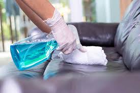 Pet Pee Smell Out Of A Leather Couch