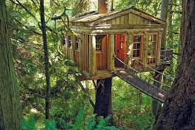 It is located about 1.6 km (1 mile) from cedar glades parks and northwoods bike trail. Guide On How To Weatherproof Your Tree House Owatrol Direct