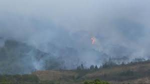 Kawasan ini berudara sejuk dan masih sangat asri. Sekat Bakar Usaha Bendung Kobaran Api Di Hutan Gunung Ciremai Terbakar Regional Liputan6 Com