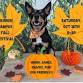 Branch Campus Dog Friendly Fall Festival! event image