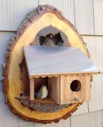 кормушка для птиц своими руками из коробки из под обуви Pin By Denisec On Birdhouses Feeders Bird House Unique Bird Houses Bird House Kits