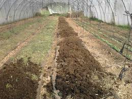 À défaut, elle ne pourrait pas. Le Fumier Au Jardin En Permaculture