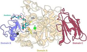 Image result for Coccinia barteri