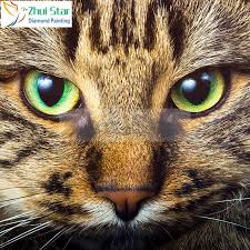 This is an intermediate level class, but i think it is a great starting point for those who are interested in painting cats or other animals. Zhui Star Diamond Embroidery Animal Cat Eyes Full Diy Diamond Painting Cross Stitch 3d Diamond Mosaic Bead Picture Decor Gx Diamond Painting Cross Stitch Aliexpress