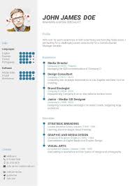 It just demonstrates some ways to allocate and free dynamic memory using the c stdlib functions. Cv Template Free Online Cv Builder Best Cv Templates
