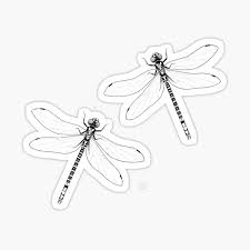 Let's see which basic colors appear in dragonflies and damselflies. Dotwork Gifts Merchandise Redbubble