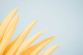 Yellow Aesthetic Wallpaper Desktop Posted By Sarah Mercado We have a massive amount of hd images that will make your. cutewallpaper org