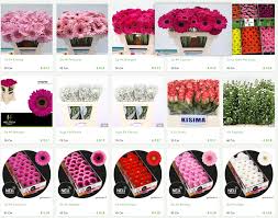 Same day delivery available in select countries. Hans Van Holland Bloemen Exporteur