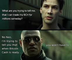 1 ответ 5 ретвитов 14 отметок «нравится». Bitcoin Cash Morpheus Neo Meme Album On Imgur