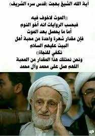 Pin On العارف شيخ محمد تقي بهجت