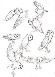 Drawingtips Animal Sketches Animal Drawings Bird Drawings