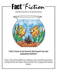 Fact Or Fiction Happy Fun Fact Friday Http Sciencemadefunwnc Net Fun Fact Friday Facts Science Facts