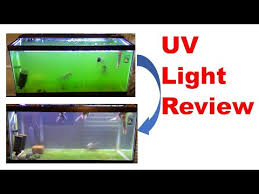 Aquarium Uv Sterilizer Filter In Action Youtube