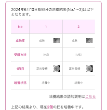 ameblo.jp