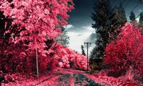 نتيجه تصويري براي بيستايي صفحه نخست كانال تلگرام سايت بيستايي جشنواره فروش كفش و كتاني كانال تخفيفهاي ويژه برچسب ها ‘متن فلسفي خاص’ نكات ايده حرفهاي فلسفي شخصيتهاي برجس