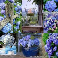 Cheerful Beautiful Collage Beautiful Flowers Floral Decor