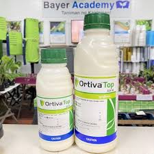 We did not find results for: Serenade Bio Organic Fungicide 1l Shopee Philippines