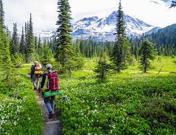 The trail is primarily used for hiking, running, and backpacking and is best used from july until september. Wonderland Trail The Mountaineers