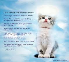  Pin On Quotes 3