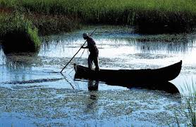 Imagini pentru cele mai frumoase delte din lume