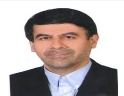 Investigating the possibility of converting the Holy Shrines in Iraq into  an independent sovereign state like the Vatican