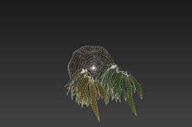 Kelp Texture Mapping Visualisation Green And Brown