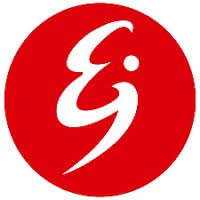 Electrojaponesa