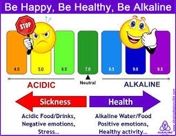 laminated kangen ph chart special offer drinking alkaline